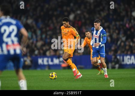 Cornella El Prat, ESP. 1er février 2025. RCD ESPANYOL vs REAL MADRID 1 février 2025 Bellingham (5) du Real Madrid lors du match entre le RCD Espanyol et le Real Madrid correspondant à la vingt-deux journée de la Liga EA Sports au stade RCDE de Barcelone, Espagne. Crédit : Rosdemora/Alamy Live News Banque D'Images