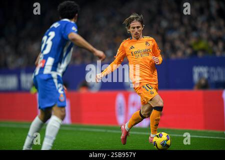Cornella El Prat, ESP. 1er février 2025. RCD ESPANYOL vs REAL MADRID 1 février 2025 Modric (10) du Real Madrid lors du match entre le RCD Espanyol et le Real Madrid correspondant à la vingt-deux journée de la Liga EA Sports au stade RCDE de Barcelone, Espagne. Crédit : Rosdemora/Alamy Live News Banque D'Images