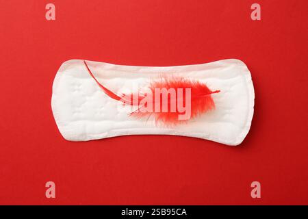 Tampon menstruel avec plume sur fond rouge, vue de dessus Banque D'Images