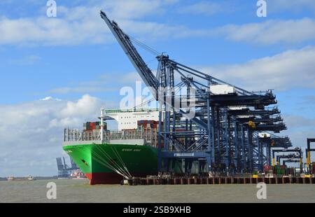 Grand conteneur Ship Ever Aria à Felixstowe Docks avec grues. Banque D'Images