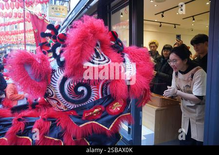 Un membre du personnel de la boulangerie Mrs à Chinatown à Londres, interagit avec des danseurs de lion pendant les célébrations du nouvel an lunaire, également connu sous le nom de Festival du printemps ou nouvel an chinois. Date de la photo : dimanche 2 février 2025. Banque D'Images