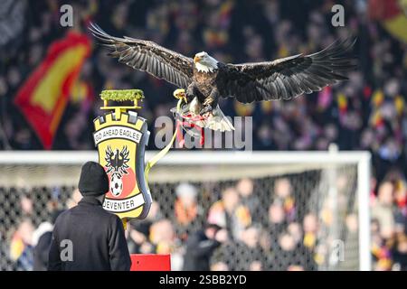 Deventer, pays-Bas. 02 février 2025. DEVENTER, Stadium Adelaarshorst, 02-02-2025, saison 2024/2025, Néerlandais Eredivisie Football The Eagle Harly avant le match Go Ahead Eagles - Twente crédit : Pro Shots/Alamy Live News Banque D'Images