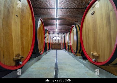 Fûts de chêne slavonien vieillissant plus de dix mille litres chacun du célèbre vin Barolo dans le Piémont, Italie. Banque D'Images