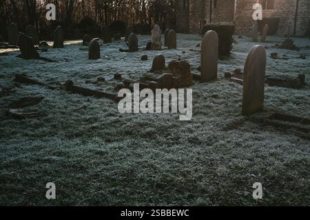 Londres, Royaume-Uni. 2 février 2025. Lumière du matin à travers des scènes à East Ham, de la réserve naturelle à High Street North. © Amstel Adams/ Alamy Live News Banque D'Images