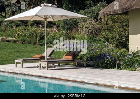 un parasol blanc jette une ombre sur deux chaises longues rembourrées près de la piscine. En arrière-plan, un jardin luxuriant et verdoyant, avec diverses plantes sp Banque D'Images