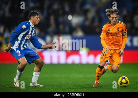 Barcelone, Espagne. 1er février 2025. Alejo VELIZ d'Espanyol Barcelone et Luka MODRIC du Real Madrid lors du match de football de la Liga entre le RCD Espanyol et le Real Madrid CF le 1er février 2025 au stade RCDE de Barcelone, Espagne - photo Matthieu Mirville (Segio Ros)/DPPI crédit : DPPI Media/Alamy Live News Banque D'Images