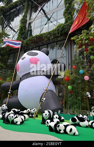 Grand panda gonflable volant les drapeaux nationaux de Thaïlande et de Chine, marquant le nouvel an lunaire 2025 et 50 ans de relations diplomatiques thaïlando-chinoises Banque D'Images