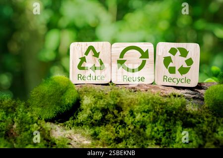 Réduire, réutiliser, recycler symbole au milieu d'une belle jungle intacte. Concept écologique. Une métaphore écologique pour la gestion écologique des déchets Banque D'Images