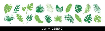 Feuilles tropicales vert clipart set. Icône de feuille verte et collection d'art de clip de symbole comme vecteur d'éléments de plantes de verdure de palmier, de monstera, de fougère et de banane Illustration de Vecteur
