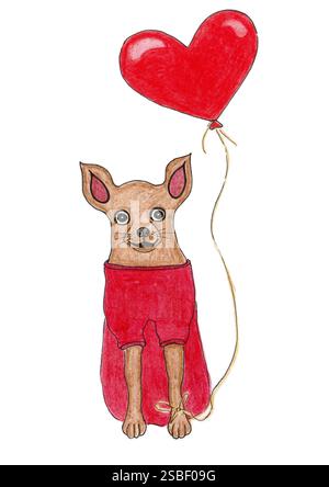 Carte postale romantique. Dessin avec des crayons de couleur. Chihuahua chien en costume rouge. Un ballon rouge en forme de cœur est attaché à la patte du chien. Animal domestique dans un visage. Isolat Banque D'Images