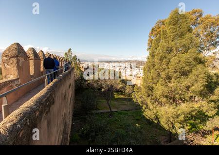 Malaga, Andalousie, Espagne - 2025 : Castillo de Gibralfaro et Alcazada Banque D'Images