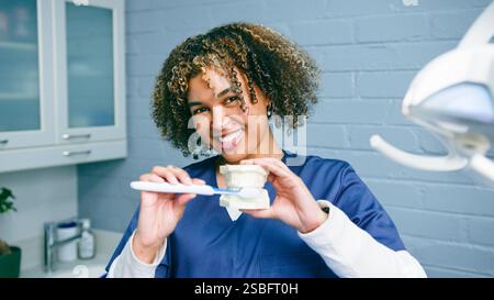 Professionnel dentaire souriant démontrant une technique de brossage appropriée sur un modèle dentaire dans un bureau moderne Banque D'Images