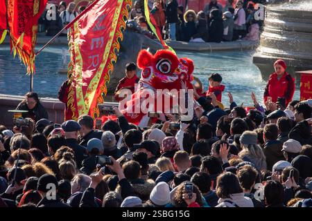 Londres, Royaume-Uni. 02 février 2025. Des foules de gens touchent les costumes des danseurs de lion lors de leur performance sur le Trafalgar Square. Les gens se sont rassemblés dans le centre de Londres pour le défilé du nouvel an lunaire de Trafalgar Square à Chinatown. Les participants et la foule ont accueilli l'année du serpent. L'événement est considéré comme le plus grand nouvel an lunaire en dehors de l'Asie. Crédit : SOPA images Limited/Alamy Live News Banque D'Images