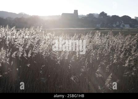 Salthouse marais, North Norfolk, Angleterre Banque D'Images