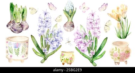 Illustration aquarelle de jacinthes bleues et roses et de pots de fleurs faits à la main. L'illustration est dessinée à la main, adaptée à la conception de cartes, à l'emballage et aux textiles. Banque D'Images