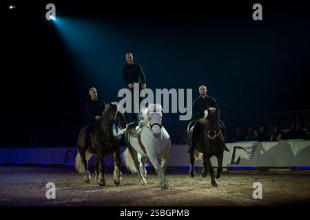 Elise Roméo présente son spectacle « l'équilibre des forces ». Ce numéro de dressage rassemble autour d'Elise Roméo des races françaises de chevaux lourds (Boulonnais, Ardennes, Comtois, Draft Breton, Auxois, projet Poitevin Mulassier, projet Percheron du Nord). Elle vous invite à dépoussiérer des idées préconçues avec notamment son étalon Cob Normand et sa mule « Juju », à l’exposition Park d’Avignon le 26 janvier 2025. Photo de Cyrille Bernard/ABACAPRESS. COM Banque D'Images