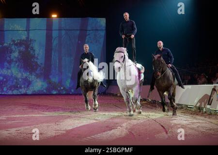 Elise Roméo présente son spectacle « l'équilibre des forces ». Ce numéro de dressage rassemble autour d'Elise Roméo des races françaises de chevaux lourds (Boulonnais, Ardennes, Comtois, Draft Breton, Auxois, projet Poitevin Mulassier, projet Percheron du Nord). Elle vous invite à dépoussiérer des idées préconçues avec notamment son étalon Cob Normand et sa mule « Juju », à l’exposition Park d’Avignon le 26 janvier 2025. Photo de Cyrille Bernard/ABACAPRESS. COM Banque D'Images