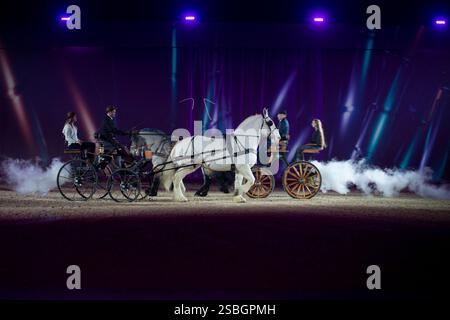 Elise Roméo présente son spectacle « l'équilibre des forces ». Ce numéro de dressage rassemble autour d'Elise Roméo des races françaises de chevaux lourds (Boulonnais, Ardennes, Comtois, Draft Breton, Auxois, projet Poitevin Mulassier, projet Percheron du Nord). Elle vous invite à dépoussiérer des idées préconçues avec notamment son étalon Cob Normand et sa mule « Juju », à l’exposition Park d’Avignon le 26 janvier 2025. Photo de Cyrille Bernard/ABACAPRESS. COM Banque D'Images
