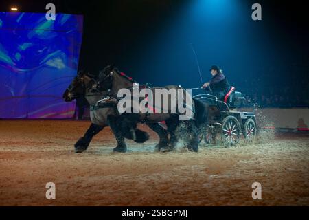 Elise Roméo présente son spectacle « l'équilibre des forces ». Ce numéro de dressage rassemble autour d'Elise Roméo des races françaises de chevaux lourds (Boulonnais, Ardennes, Comtois, Draft Breton, Auxois, projet Poitevin Mulassier, projet Percheron du Nord). Elle vous invite à dépoussiérer des idées préconçues avec notamment son étalon Cob Normand et sa mule « Juju », à l’exposition Park d’Avignon le 26 janvier 2025. Photo de Cyrille Bernard/ABACAPRESS. COM Banque D'Images