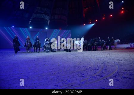 Elise Roméo présente son spectacle « l'équilibre des forces ». Ce numéro de dressage rassemble autour d'Elise Roméo des races françaises de chevaux lourds (Boulonnais, Ardennes, Comtois, Draft Breton, Auxois, projet Poitevin Mulassier, projet Percheron du Nord). Elle vous invite à dépoussiérer des idées préconçues avec notamment son étalon Cob Normand et sa mule « Juju », à l’exposition Park d’Avignon le 26 janvier 2025. Photo de Cyrille Bernard/ABACAPRESS. COM Banque D'Images