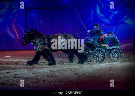 Elise Roméo présente son spectacle « l'équilibre des forces ». Ce numéro de dressage rassemble autour d'Elise Roméo des races françaises de chevaux lourds (Boulonnais, Ardennes, Comtois, Draft Breton, Auxois, projet Poitevin Mulassier, projet Percheron du Nord). Elle vous invite à dépoussiérer des idées préconçues avec notamment son étalon Cob Normand et sa mule « Juju », à l’exposition Park d’Avignon le 26 janvier 2025. Photo de Cyrille Bernard/ABACAPRESS. COM Banque D'Images