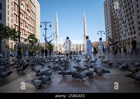 Médine, Arabie Saoudite - 1er juillet 2024 : pèlerins et colombes du Hadj et de l'Oumrah dans la mosquée du Prophète à Madinah, également connue sous le nom de Masjid Nabawi, Arabie Saoudite. Banque D'Images