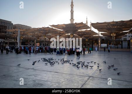 Médine, Arabie Saoudite - 1er juillet 2024 : pèlerins et colombes du Hadj et de l'Oumrah dans la mosquée du Prophète à Madinah, également connue sous le nom de Masjid Nabawi, Arabie Saoudite. Banque D'Images
