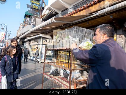 Vendeur d'oiseaux avec cage roulante, Diyarbakır Turquie Turkiye Banque D'Images