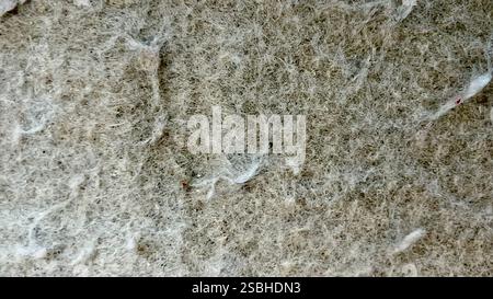 Vue rapprochée d'une surface en fibre synthétique avec une texture unique mettant en évidence sa composition détaillée. Banque D'Images