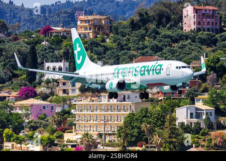 Corfou, Grèce - 8 juin 2024 : Transavia France Boeing 737-800 à l'aéroport de Corfou en Grèce. Banque D'Images