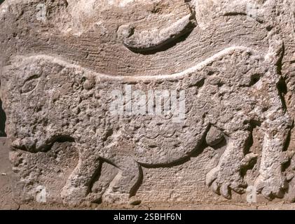 Relief du lion, période Seldjouk, calcaire Van Musée archéologique Turquie Turkiye Banque D'Images