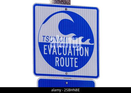 Signe de la route d'évacuation du tsunami sur fond blanc Banque D'Images