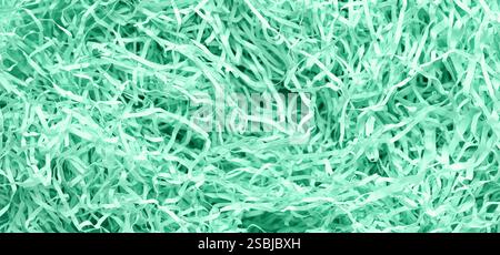 Vue rapprochée du papier déchiqueté à la menthe Banque D'Images