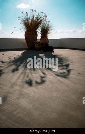 Décoration méditerranéenne : pots de fleurs avec des herbes et des fleurs sur la terrasse d'un bâtiment rétroéclairé par le soleil, Fira, Santorin, Grèce Banque D'Images