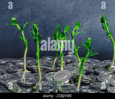 Gros plan de pousses vertes poussant sur des pièces dispersées. Concept de conservation de la nature. Problèmes environnementaux. Fond sombre Banque D'Images