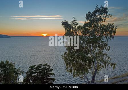 Un bouleau solitaire sur une falaise de la Volga avec un coucher de soleil en arrière-plan Banque D'Images