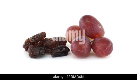 Un bouquet de raisins rouges se trouve à côté d'un tas de raisins secs brun foncé sur un fond blanc brillant Banque D'Images