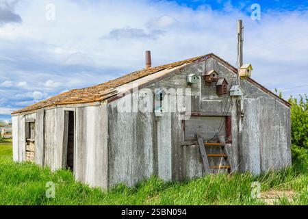 Délabré, vieux bâtiment avec une échelle appuyée contre lui. L'échelle est positionnée sur le côté du bâtiment, et elle est en mauvais état. Le bâtiment son Banque D'Images