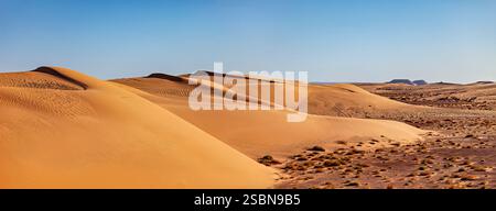 Les dunes de sable du désert du Sahara en Algérie Banque D'Images