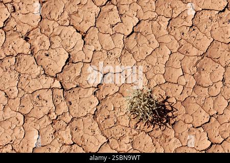 La surface du désert du Sahara en Algérie Banque D'Images