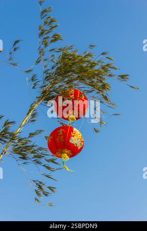 Lanternes chinoises dans un arbre contre le ciel Banque D'Images