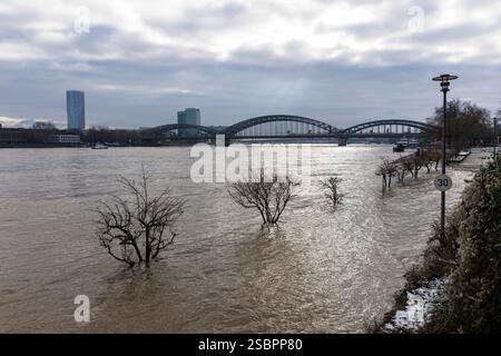 Crue du Rhin à Konrad-Adenauer-Ufer, gauche de la tour Lanxess dans le quartier Deutz, pont Hohenzollern, Cologne, Allemagne. 10.01.20 Banque D'Images