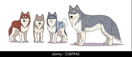 Illustration de bande dessinée colorée de la famille Husky Dogs. Quatre huskies ludiques dans différentes nuances se dressent sur un fond blanc mettant en valeur la diversité des races et Illustration de Vecteur