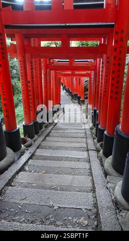 Temple de Fushimi-Inari Banque D'Images