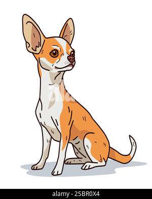 Chihuahua chien assis animal de compagnie mignon illustration. Couleurs marron et blanc avec de grandes oreilles et expression d'alerte sur fond blanc Illustration de Vecteur