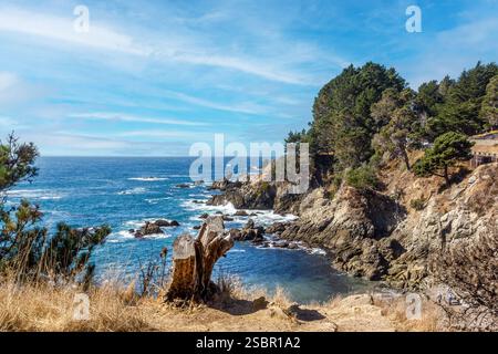 Côte californienne scémique près de Mendocino Banque D'Images