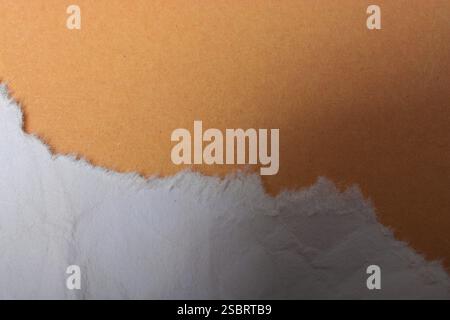 Morceau de papier déchiré sur fond uni Banque D'Images