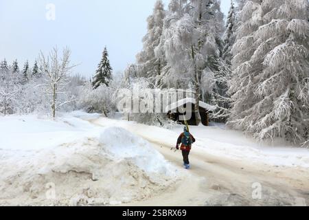Forêt blanche d'hiver dans le Harz allemand Banque D'Images