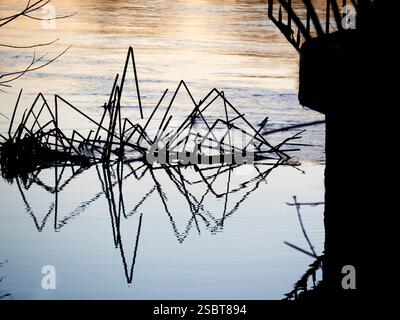 Motifs abstraits de roseaux et reflets par Abingdon Weir. Abingdon prétend être la plus ancienne ville d'Angleterre. Et la Tamise traverse le cœur O. Banque D'Images