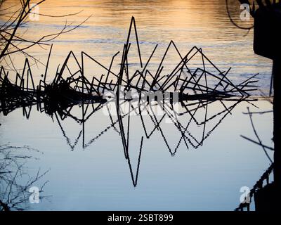 Motifs abstraits de roseaux et reflets par Abingdon Weir. Abingdon prétend être la plus ancienne ville d'Angleterre. Et la Tamise traverse le cœur O. Banque D'Images